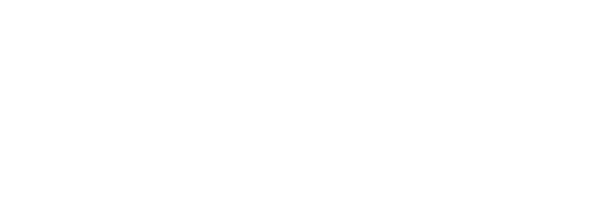 Mike Lang Stories